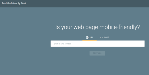 Mobile optimization and responsive design