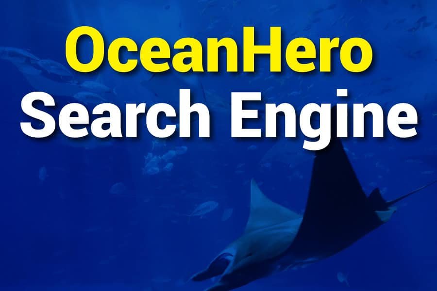 OceanHero Search Engine